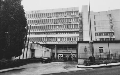 Trib. Macerata 20 febbraio 2026 – Court of Macerata, February 20th, 2026